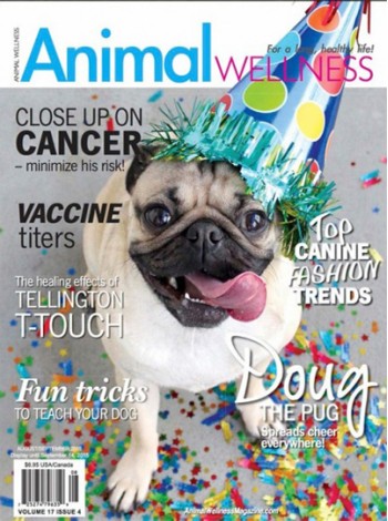 Animal Wellness Magazine Subscription