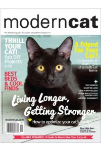 Modern Cat Magazine