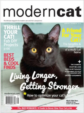 Modern Cat Magazine Subscription