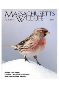 Massachusetts Wildlife Magazine