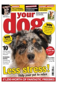 Your Dog Magazine